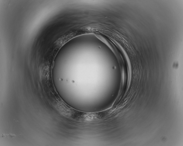 X0000096390762200801241302