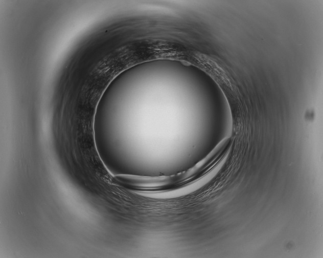 X0000096390763200801241302