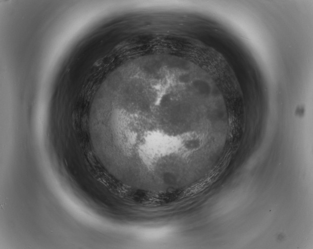 X0000096390765200801241302