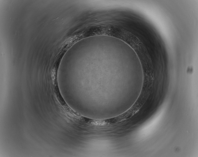 X0000096390767200801241302