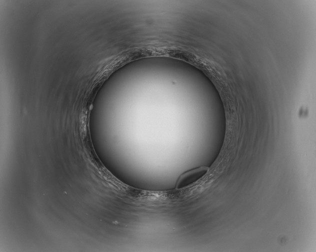 X0000096390768200801241302