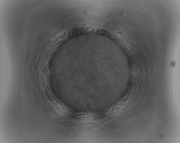 X0000096390769200801241301