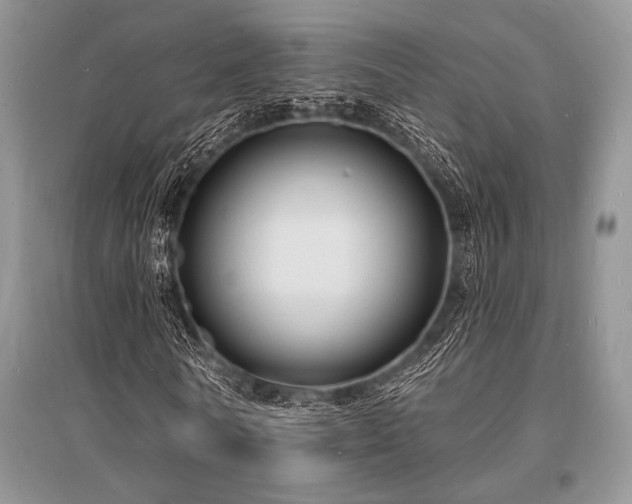 X0000096390770200801241301