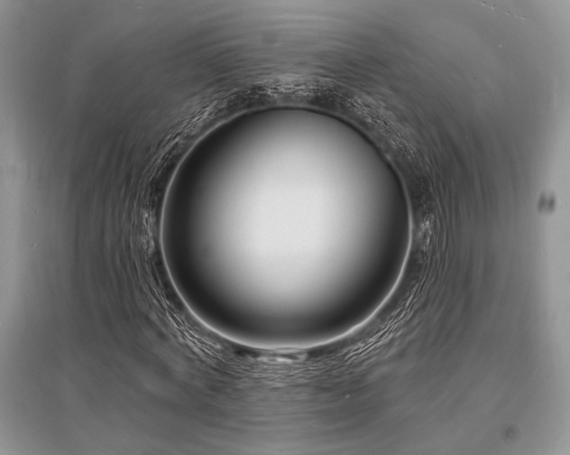 X0000096390772200801241301