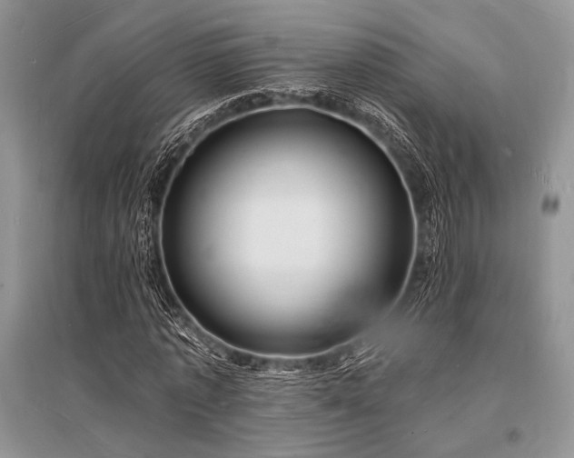 X0000096390773200801241301