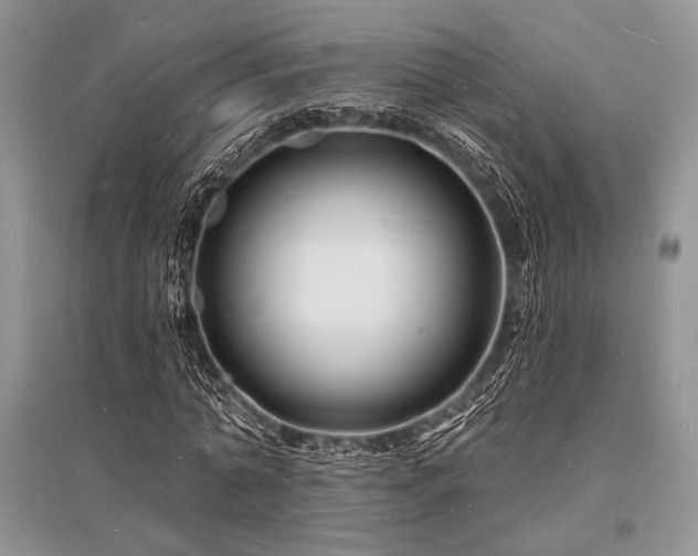 X0000096390774200801241301