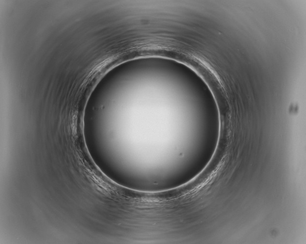 X0000096390777200801241301