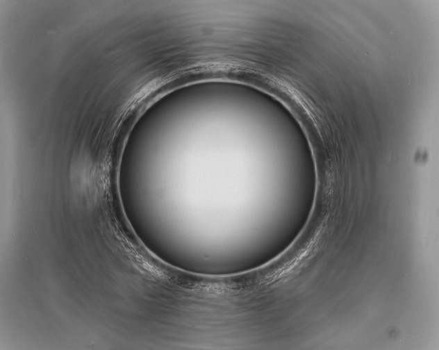 X0000096390778200801241301