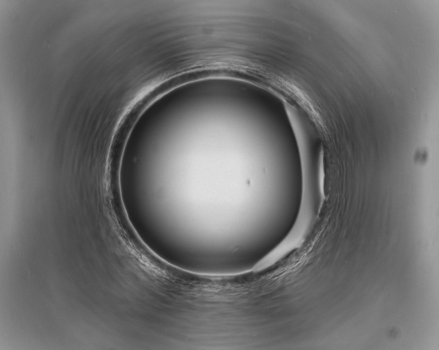 X0000096390780200801241301
