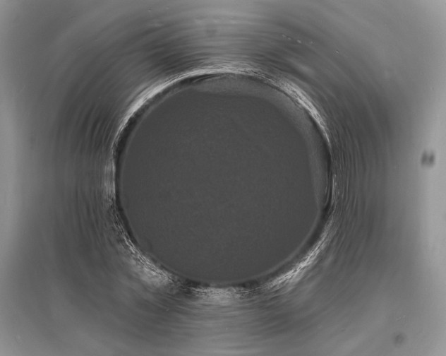 X0000096390781200801241301