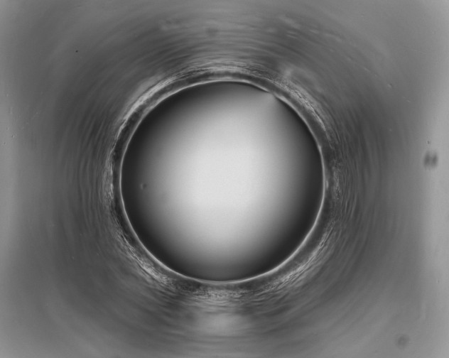 X0000096390782200801241301