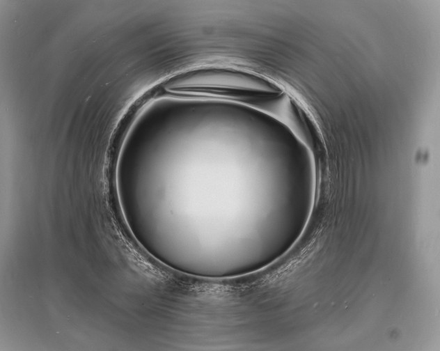 X0000096390783200801241301