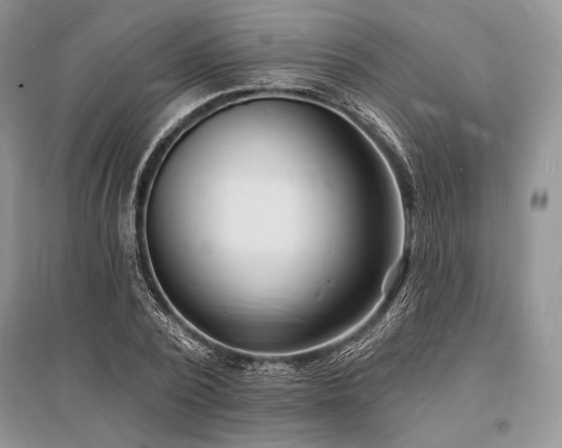 X0000096390784200801241301