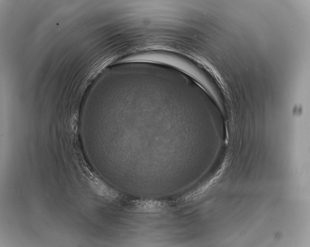 X0000096390785200801241301