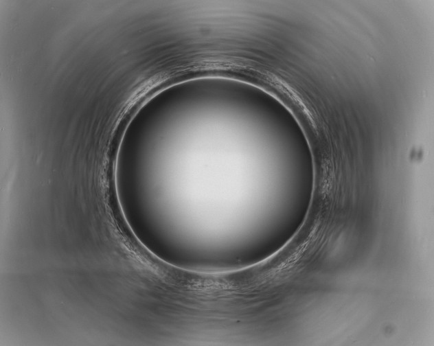 X0000096390786200801241301