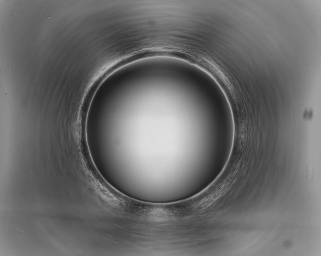 X0000096390787200801241301