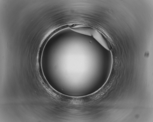 X0000096390788200801241301