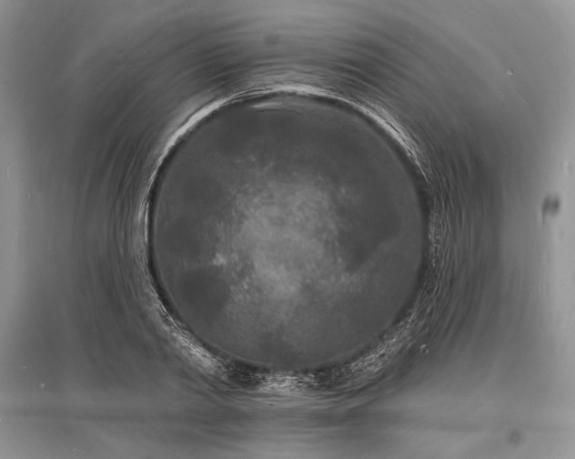 X0000096390790200801241301