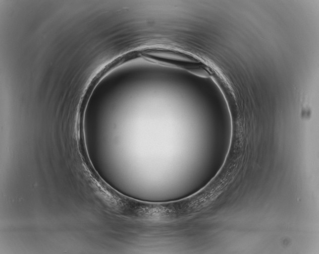 X0000096390791200801241301