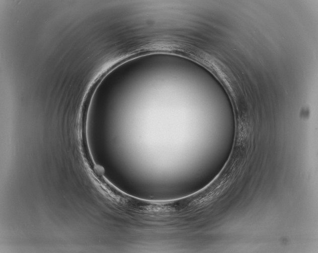 X0000096390795200801241301