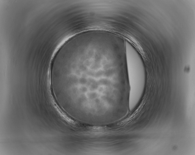 X0000096390796200801241301