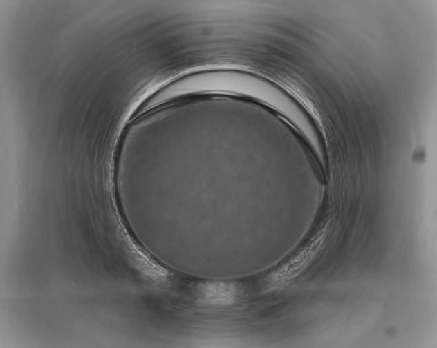 X0000096390797200801241301