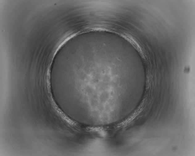 X0000096390798200801241301