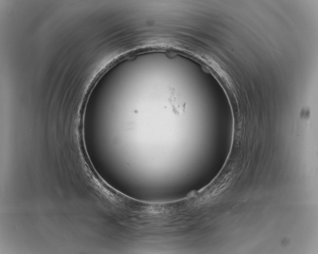 X0000096390799200801241301