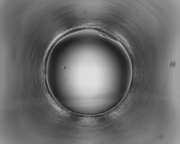 X0000096390800200801241301