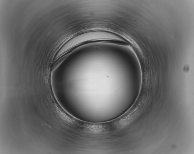 X0000096390801200801241301