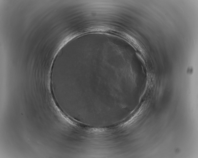 X0000096390802200801241301