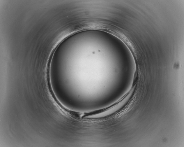 X0000096390803200801241301