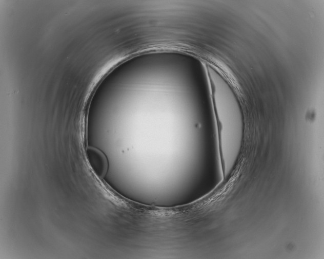 X0000096390804200801241301
