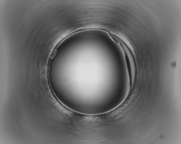 X0000096390805200801241301