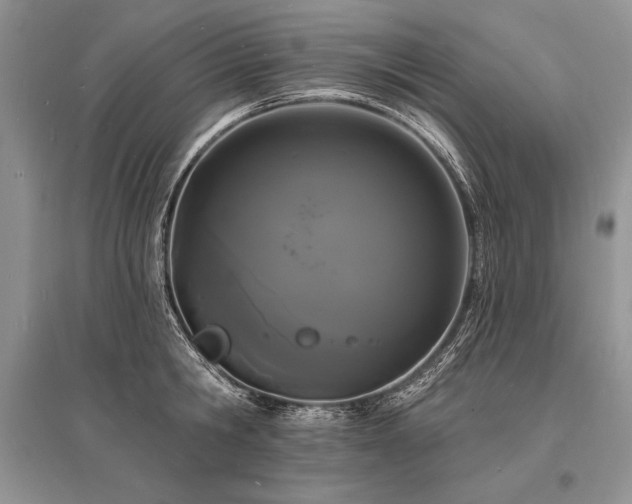 X0000096390806200801241301