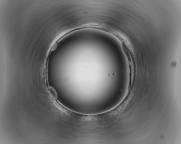 X0000096390808200801241301