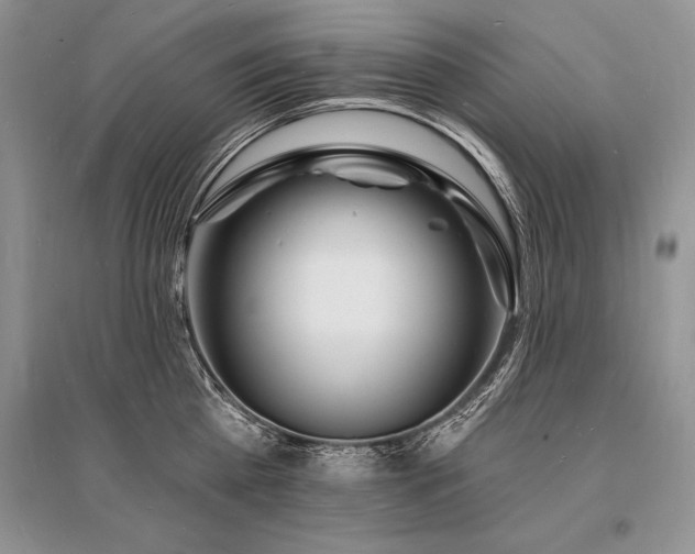 X0000096390809200801241301