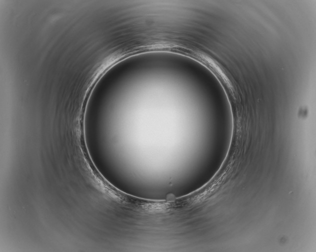 X0000096390810200801241301