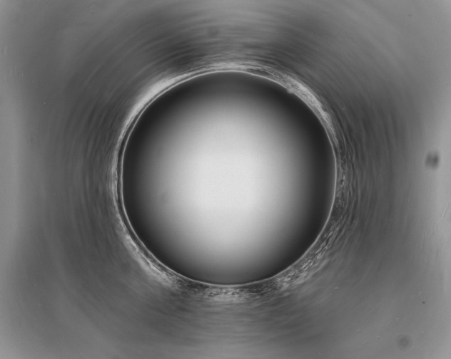X0000096390811200801241301