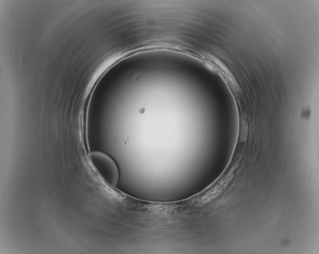 X0000096390812200801241301