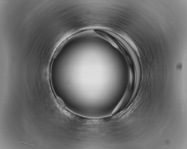 X0000096390813200801241301