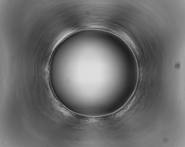 X0000096390814200801241301