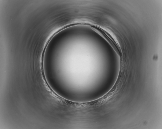 X0000096390815200801241301