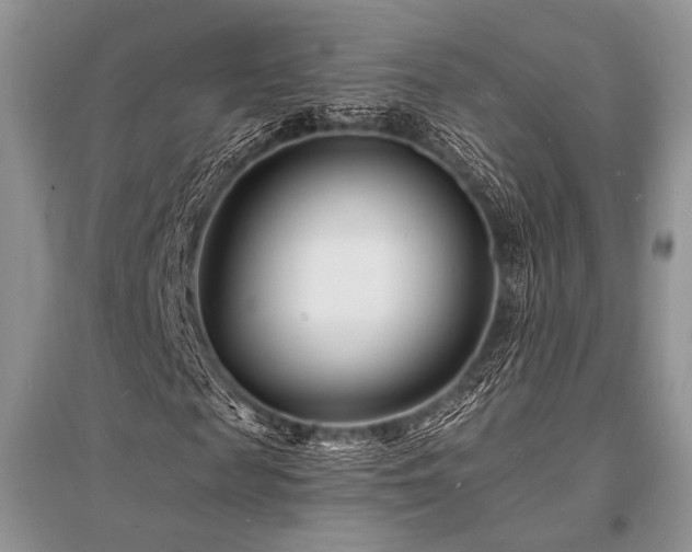 X0000096390817200801241300