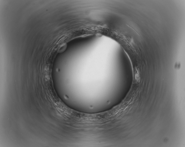 X0000096390819200801241300