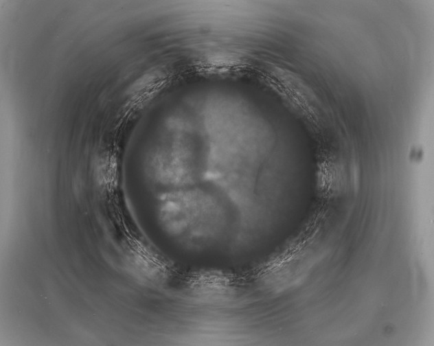 X0000096390820200801241300