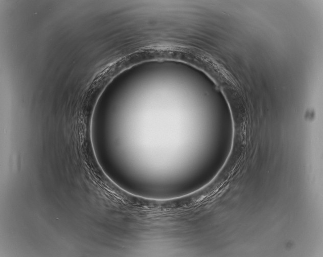 X0000096390821200801241300
