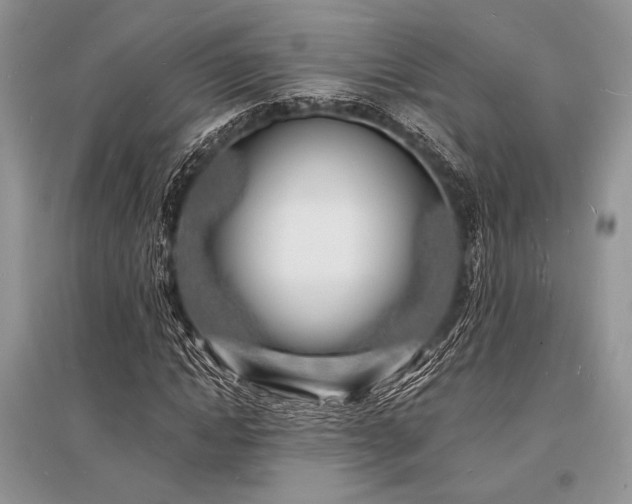 X0000096390822200801241300