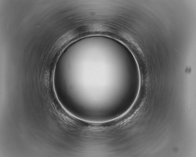 X0000096390825200801241300
