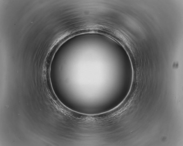 X0000096390827200801241300